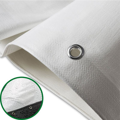 Groen 5OZ 6OZ Blauw-zilver Economy Tarp PE Tarpaulin Waterdicht Stof Tarp Materiaal Plastic Plaat