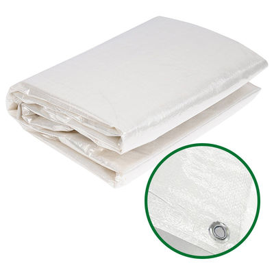 Groen 5OZ 6OZ Blauw-zilver Economy Tarp PE Tarpaulin Waterdicht Stof Tarp Materiaal Plastic Plaat